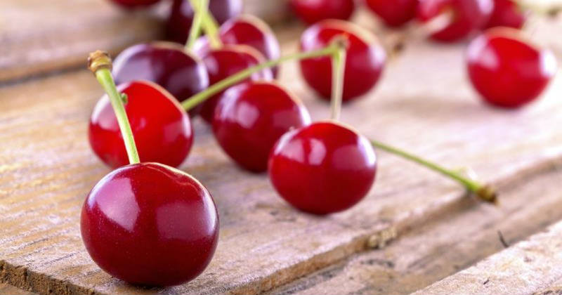 Sour Cherry - Health Benefits and Medicinal Uses | Best ...