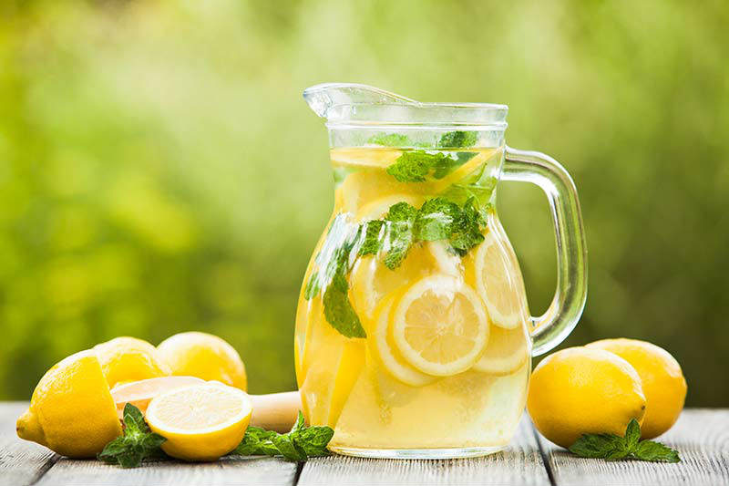 Lemonade Diet Lose 15 pounds in 14 Days Best Herbal Health