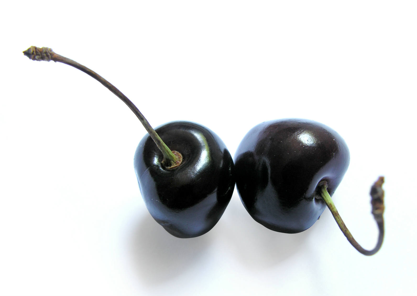 Black Cherry 10 Health Benefits Best Herbal Health