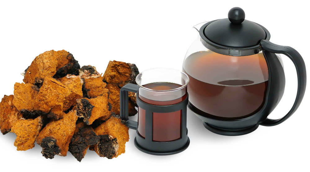 Benefits of Chaga Mushroom Tea - Elixir of Immortality