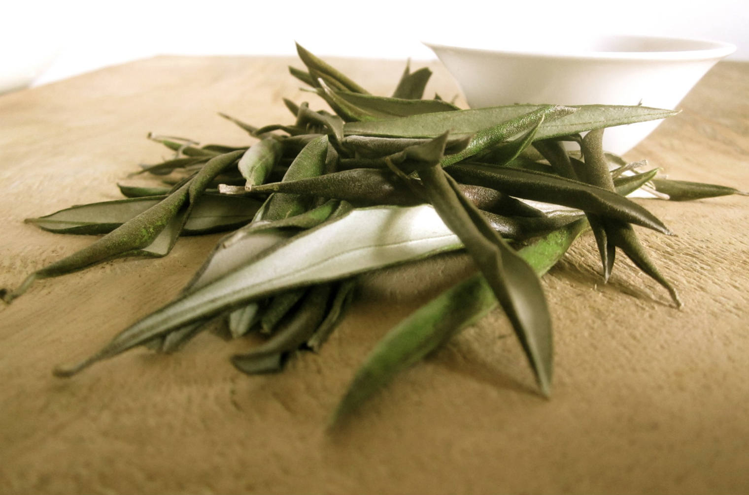 Olive leaf treat herpes sores