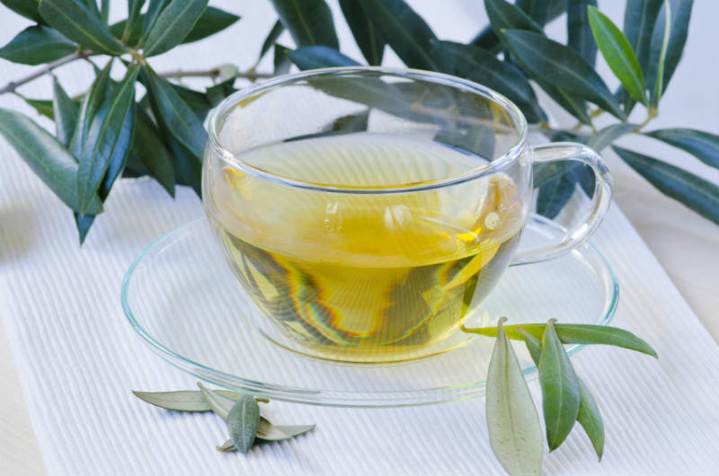 Olive Leaf Tea Experience The Healing Power of This Drink