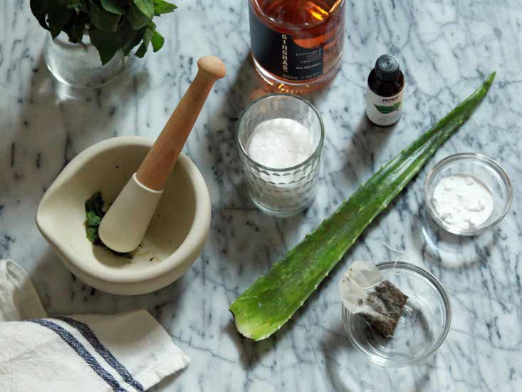Natural Remedies Anaphylaxis Natural Remedies Anaphylaxis