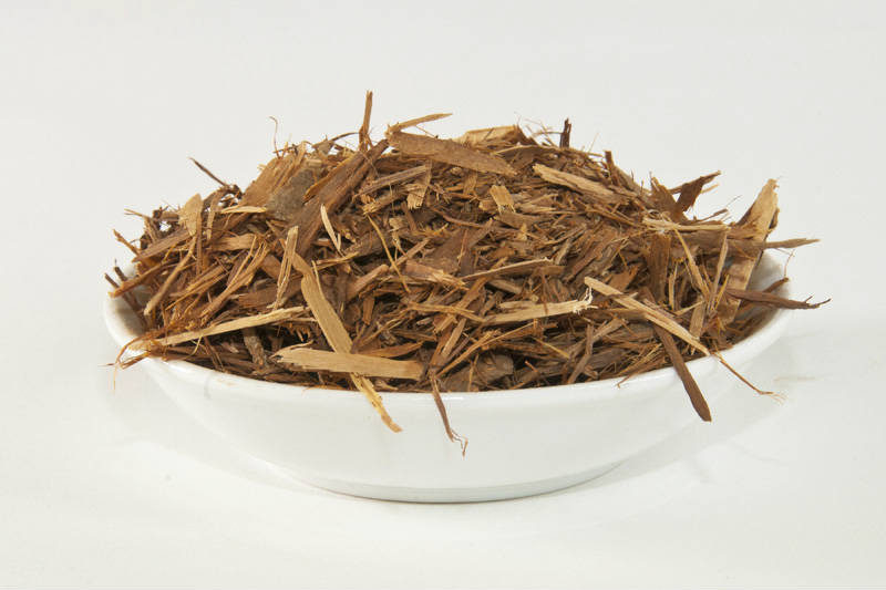 Catuaba Plant with Remarkable Energy and Aphrodisiac Properties