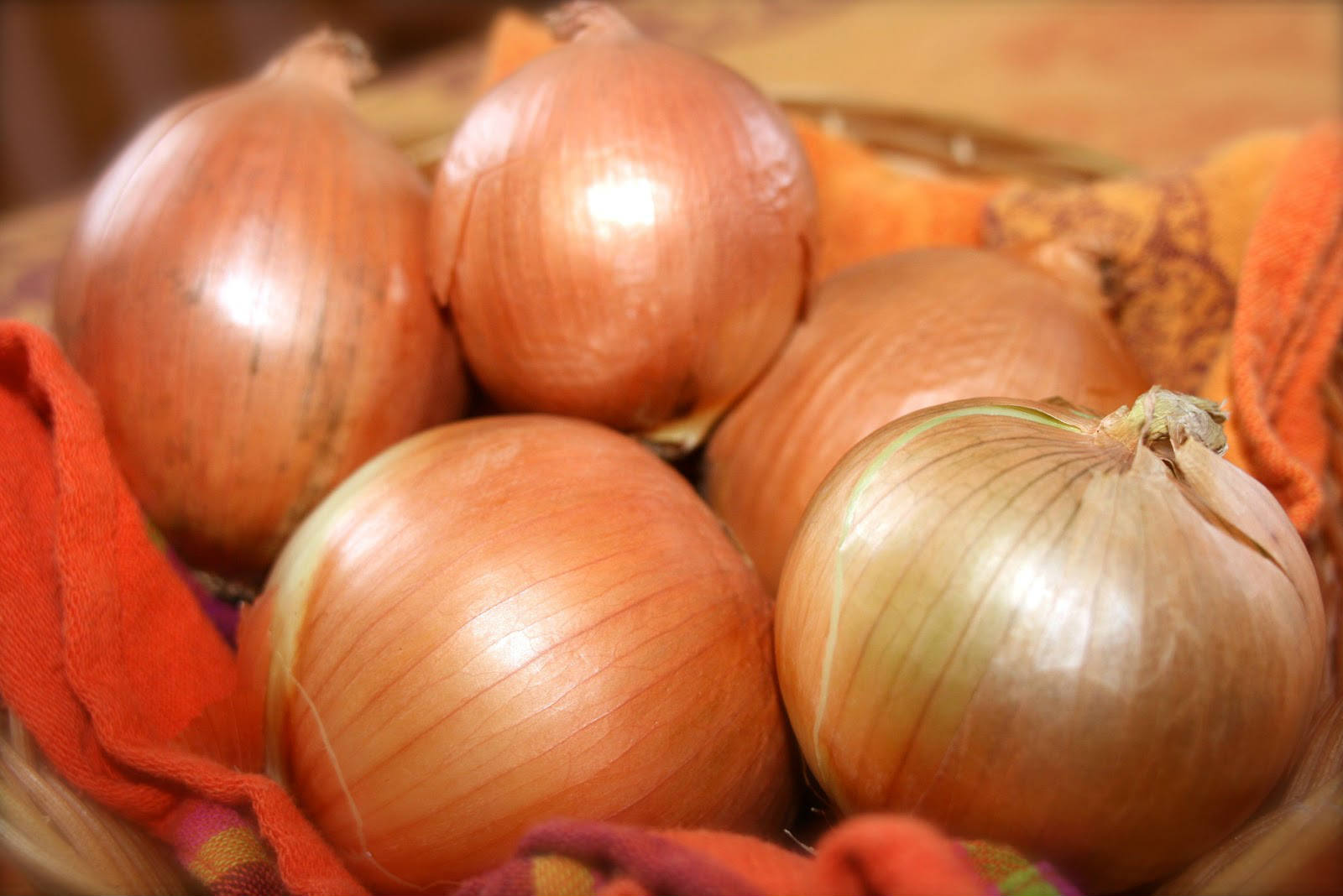 Onion Live Onion Live