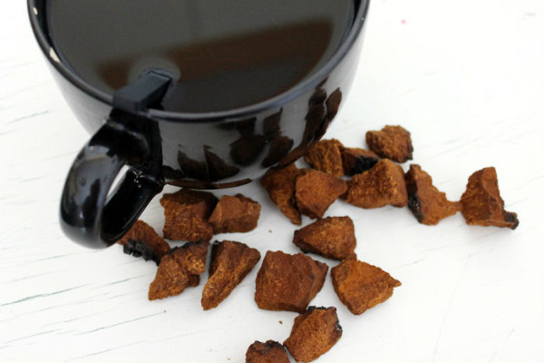 health benefits of chaga mushroom tea – elixir of immortality