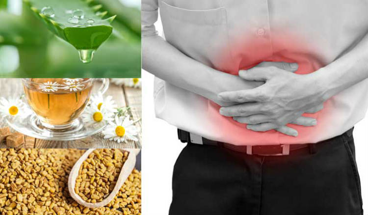 5 Home Remedies to Treat Hiatal Hernia Naturally | Best Herbal Health