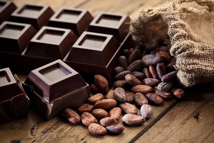 What is the Healthiest Chocolate? Best Herbal Health