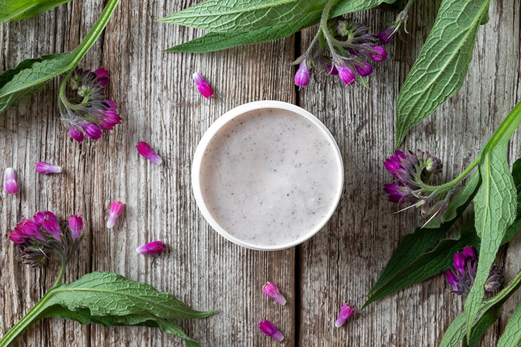 Common Comfrey Benefits, Uses and Side Effects Best Herbal Health