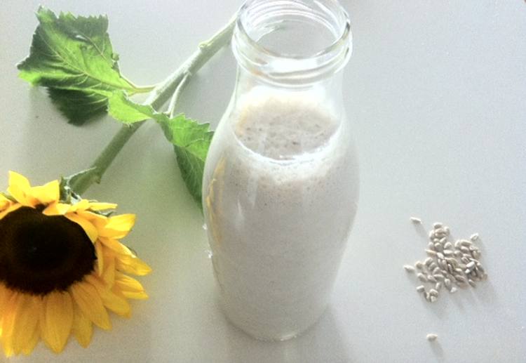 Sunflower Seed Milk Benefits, Uses and Preparation