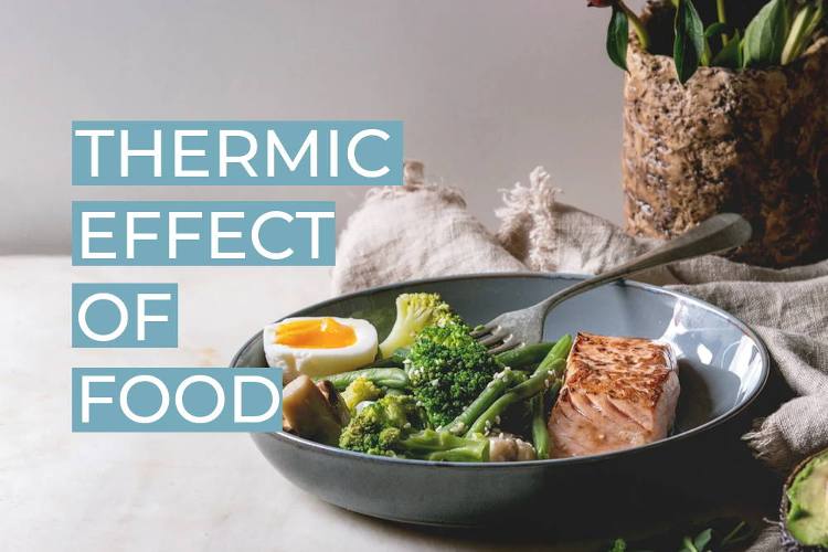 What Is The Thermic Effect Of Food Best Herbal Health What Is The Thermic Effect Of Food Best Herbal Health