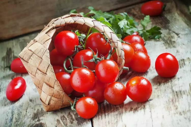 Cherry Tomatoes Benefits, Uses and Nutritional Value