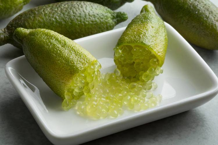 What is Finger Lime? Benefits, Uses and